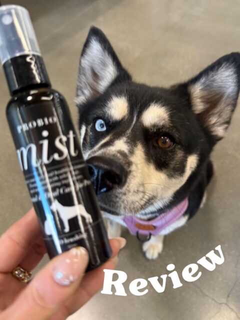 New customer reviews are rolling in! 🐾

📝 REVIEW by Ayano✨

ー “I highly recommend this product because even for dogs that absolutely hate tooth brushing, you can easily keep their teeth clean with the spray mist! It also freshens their breath, and I definitely want to keep using it in the future. I would love to continue purchasing it!”

Thank you for sharing your experience! 
We are so happy to hear that it’s working well for your dog! 🐶✨We appreciate your support and look forward to continuing to help keep your pup’s teeth clean and fresh! 

＝＝＝＝＝＝＝
Amana Grace
＝＝＝＝＝＝＝
🌱 𝗡𝗮𝘁𝘂𝗿𝗮𝗹 & 𝗦𝗮𝗳𝗲
　　– Made with gentle, pet-friendly ingredients
🐶 𝗧𝗿𝘂𝘀𝘁𝗲𝗱 𝗯𝘆 𝗣𝗲𝘁 𝗢𝘄𝗻𝗲𝗿𝘀 𝗶𝗻 𝗝𝗮𝗽𝗮𝗻
　　– Loved and highly-rated
🌍 𝗦𝗵𝗶𝗽𝗽𝗶𝗻𝗴 𝗪𝗼𝗿𝗹𝗱𝘄𝗶𝗱𝗲
　　– Top-quality products, delivered to you

#japanesequality #naturalpetcare #petdentalhealth #organicpetcare #losangelespets #dogdentalcare #catdental #petreview