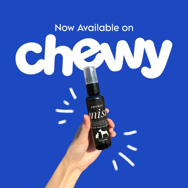 Made in Japan with Only Natural Ingredients ๐ฑ
Our Pet Oral Care Spray is now available on Chewy! ๐ฅณ
โจโProbio Mistโ is made with 100% organic soybean protein and powered by Fermet 280 probiotics โ delivering gentle, effective care for your petโs oral health.โจIt naturally supports fresh breath, helps control tartar & plaque, and promotes healthy gums โ all without chemicals or added fragrances.โจFormulated to be safe, mild, and trusted for everyday use. ๐พ๐
๏ผ๏ผ๏ผ๏ผ๏ผ๏ผ๏ผ
Amana Grace
๏ผ๏ผ๏ผ๏ผ๏ผ๏ผ๏ผ
๐ฑ ๐ก๐ฎ๐๐๐ฟ๐ฎ๐น & ๐ฆ๐ฎ๐ณ๐ฒ
ใใโ Made with gentle, pet-friendly ingredients
๐ถ ๐ง๐ฟ๐๐๐๐ฒ๐ฑ ๐ฏ๐ ๐ฃ๐ฒ๐ ๐ข๐๐ป๐ฒ๐ฟ๐ ๐ถ๐ป ๐๐ฎ๐ฝ๐ฎ๐ป
ใใโ Loved and highly-rated
๐ ๐ฆ๐ต๐ถ๐ฝ๐ฝ๐ถ๐ป๐ด ๐ช๐ผ๐ฟ๐น๐ฑ๐๐ถ๐ฑ๐ฒ
ใใโ Top-quality products, delivered to you
#petcare #japanesequality #naturalpetcare #petdentalhealth #organicpetcare #losangelespets #dogdentalcare #catdental #veganpets