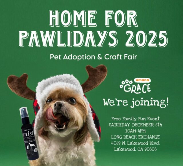 See you at @long_beach_pet_fair this Saturday! ๐ฅณ
Home for the Pawlidays 2025 ๐ถ๐ฑ๐
Pet Adoption and Vendor Fair
โด๏ธ Date: Saturday, December 6, 2025
โด๏ธ Time: 10:00 AM - 4:00 PM
โด๏ธ Location: The Hangar at @longbeachexchange
ใ4150 McGowen St, Long Beach, CA
Weโre excited to invite you to participate in Home for the Pawlidays, a festive Pet Adoption and Vendor Fair happening at Long Beach Exchange this holiday season!
Join us for a family-friendly day filled with adorable adoptable pets, unique local vendors, and holiday fun! The Exchange will be decked out with beautiful Christmas decorations, including their signature large tree
โ plus Santa will be there for photos!
This event draws strong foot traffic in a popular, high-visibility shopping center, making it a great opportunity to showcase your organization or business to the Long Beach community.
๏ผ๏ผ๏ผ๏ผ๏ผ๏ผ๏ผ
Amana Grace
๏ผ๏ผ๏ผ๏ผ๏ผ๏ผ๏ผ
๐ฑ ๐ก๐ฎ๐๐๐ฟ๐ฎ๐น & ๐ฆ๐ฎ๐ณ๐ฒ
ใใโ Made with gentle, pet-friendly ingredients
๐ถ ๐ง๐ฟ๐๐๐๐ฒ๐ฑ ๐ฏ๐ ๐ฃ๐ฒ๐ ๐ข๐๐ป๐ฒ๐ฟ๐ ๐ถ๐ป ๐๐ฎ๐ฝ๐ฎ๐ป
ใใโ Loved and highly-rated
๐ ๐ฆ๐ต๐ถ๐ฝ๐ฝ๐ถ๐ป๐ด ๐ช๐ผ๐ฟ๐น๐ฑ๐๐ถ๐ฑ๐ฒ
ใใโ Top-quality products, delivered to you
#petcare #japanesequality #naturalpetcare #losangelespets #longbeachpetcare #longbeachevents