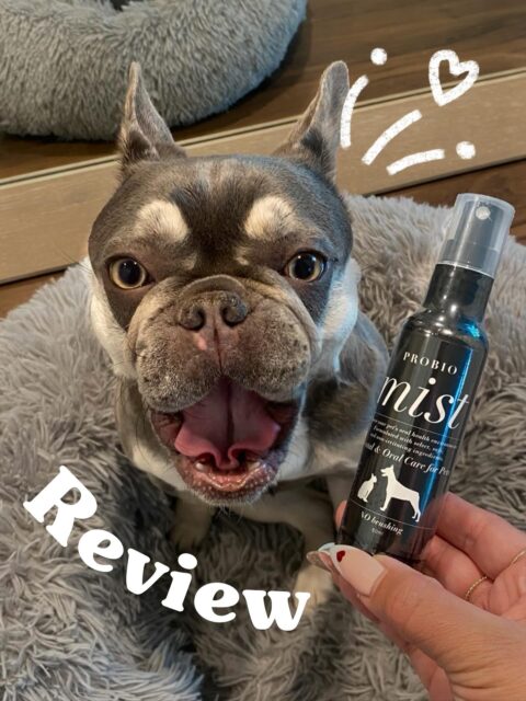 Another customer review has arrived!๐พ
๐ REVIEW by Meguโจ
ใผ โItโs incredibly easy to use! This mist is very convenient for dogs who donโt like to have their teeth brushed. Brushing takes time and dogs dislike it, but with this mist, all you need to do is give it a quick spray, so dogs donโt mind using it. It makes daily care easier, so I donโt forget to use it even on busy days. Also it can be easily combined with other care. For me, brushing teeth was a hassle, so this makes it easy to continue using it every day.โ
Thank you for sharing your experience! Weโre happy to hear that weโve provided a stress-free oral care option for you and your dog! ๐ถโจ
๏ผ๏ผ๏ผ๏ผ๏ผ๏ผ๏ผ
Amana Grace
๏ผ๏ผ๏ผ๏ผ๏ผ๏ผ๏ผ
๐ฑ ๐ก๐ฎ๐๐๐ฟ๐ฎ๐น & ๐ฆ๐ฎ๐ณ๐ฒ
ใใโ Made with gentle, pet-friendly ingredients
๐ถ ๐ง๐ฟ๐๐๐๐ฒ๐ฑ ๐ฏ๐ ๐ฃ๐ฒ๐ ๐ข๐๐ป๐ฒ๐ฟ๐ ๐ถ๐ป ๐๐ฎ๐ฝ๐ฎ๐ป
ใใโ Loved and highly-rated
๐ ๐ฆ๐ต๐ถ๐ฝ๐ฝ๐ถ๐ป๐ด ๐ช๐ผ๐ฟ๐น๐ฑ๐๐ถ๐ฑ๐ฒ
ใใโ Top-quality products, delivered to you
#japanesequality #naturalpetcare #petdentalhealth #organicpetcare #losangelespets #dogdentalcare #catdental #petreview